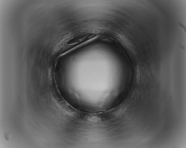 X0000099970258200806061636