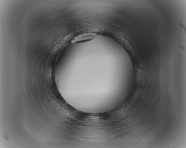 X0000099970260200806061636