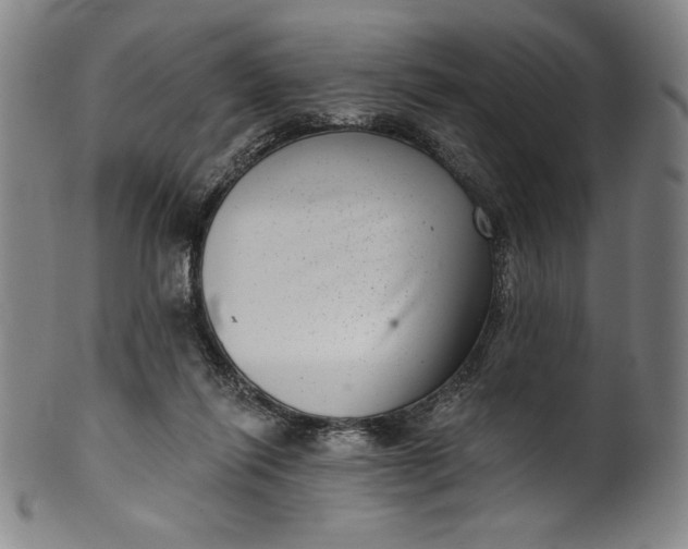 X0000099970262200806061637