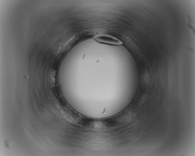 X0000099970264200806061637