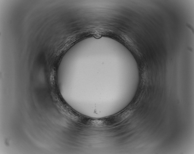 X0000099970265200806061637