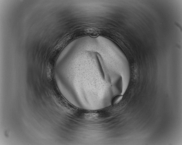 X0000099970266200806061637