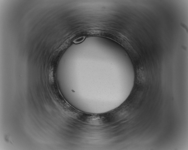 X0000099970267200806061637