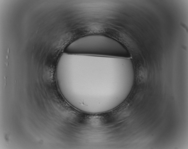 X0000099970268200806061637