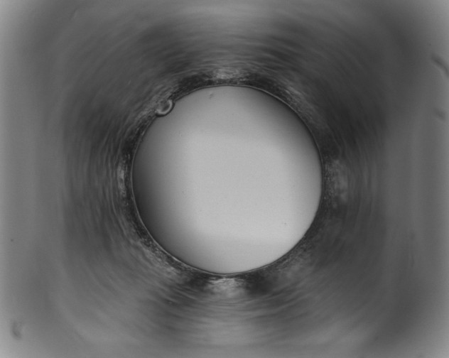 X0000099970269200806061637