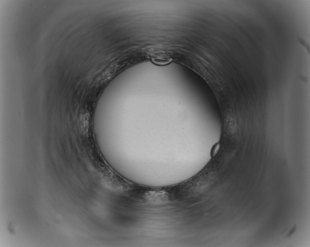 X0000099970271200806061637