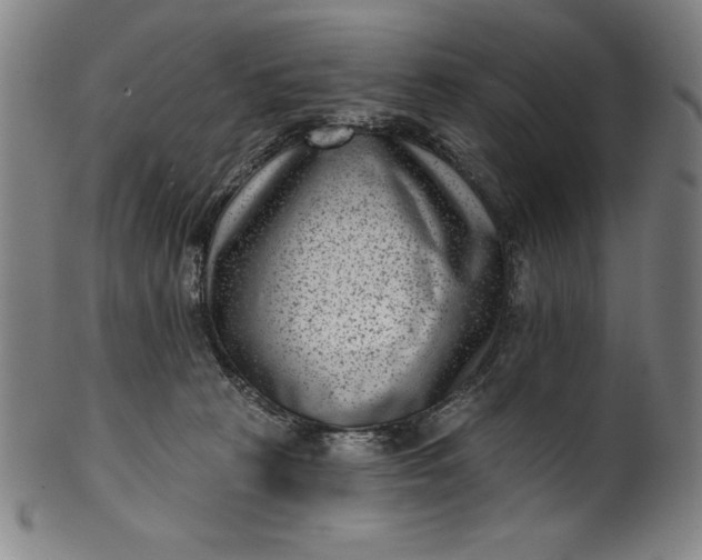 X0000099970273200806061637