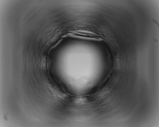 X0000099970274200806061637