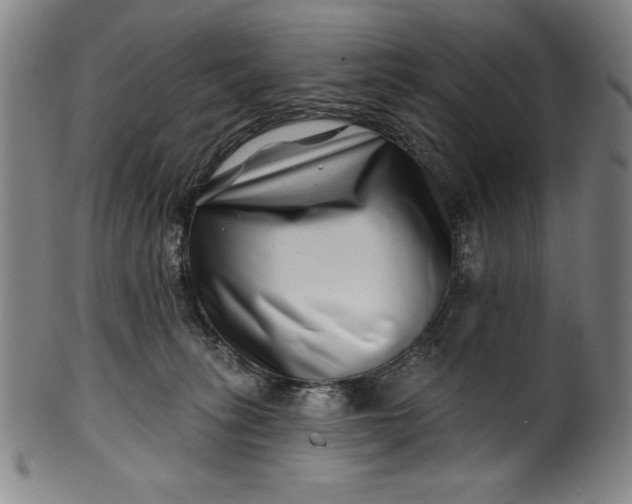 X0000099970275200806061637