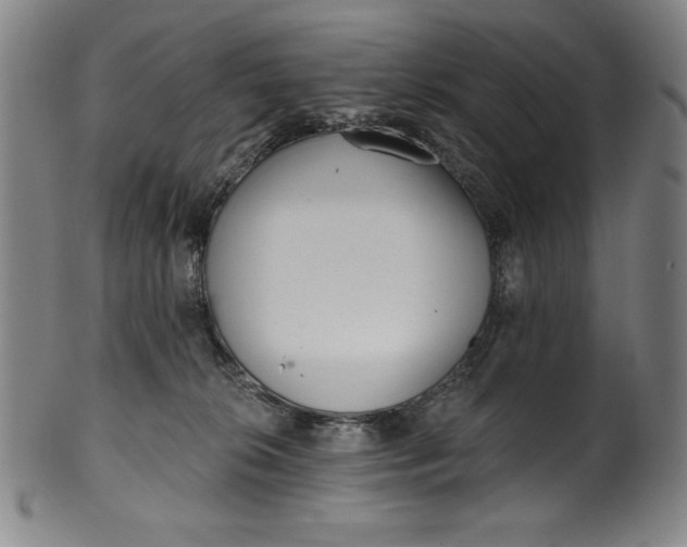 X0000099970276200806061637