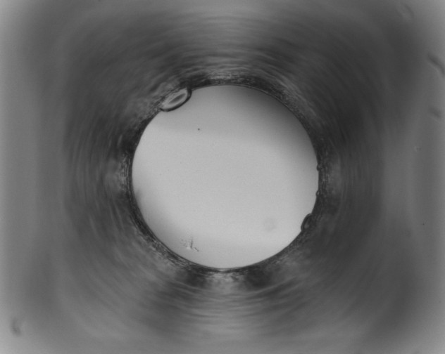 X0000099970277200806061637