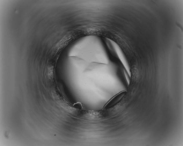 X0000099970278200806061637