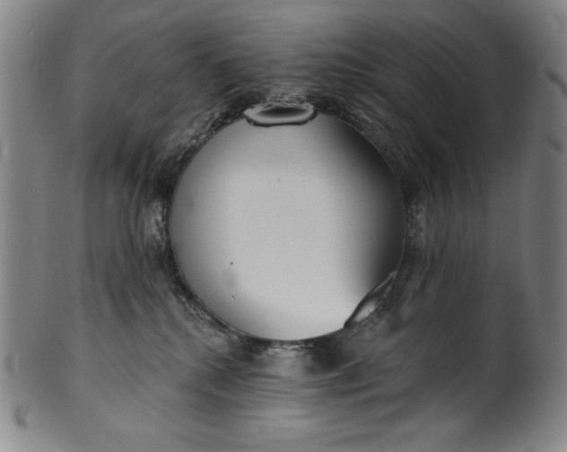 X0000099970280200806061637