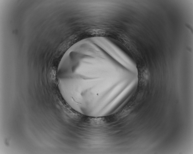 X0000099970281200806061637