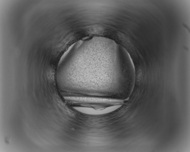 X0000099970282200806061637