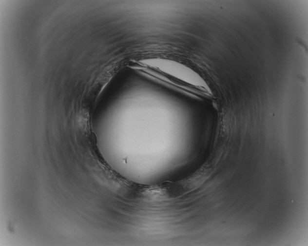 X0000099970283200806061637