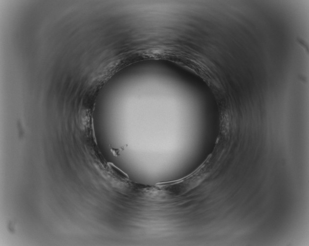 X0000099970284200806061637