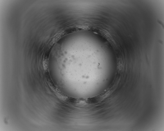 X0000099970285200806061637