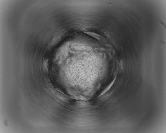 X0000099970286200806061637