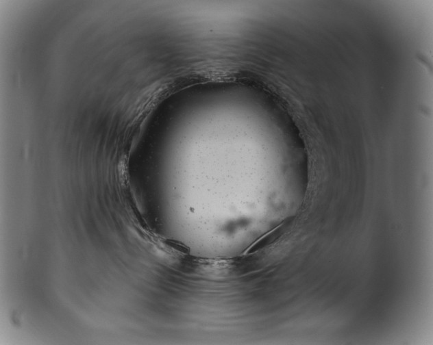 X0000099970288200806061637