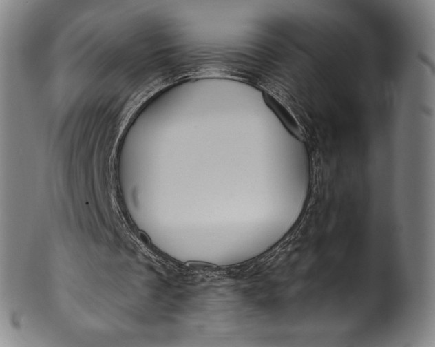 X0000099970289200806061636