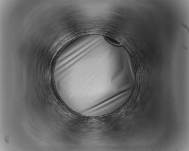 X0000099970290200806061636