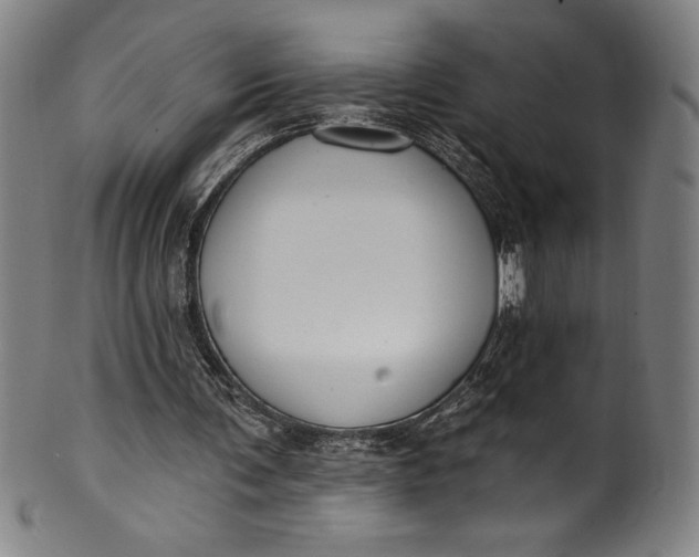 X0000099970291200806061636