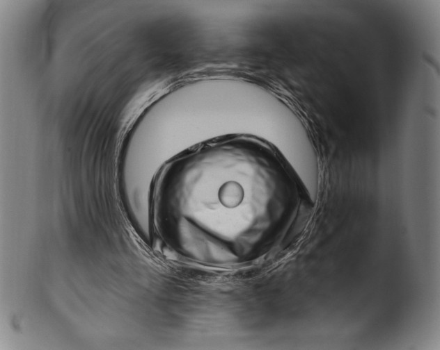 X0000099970293200806061636