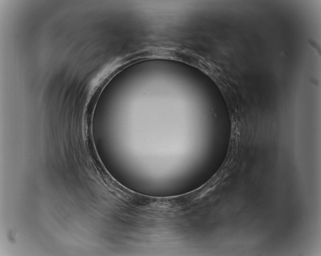 X0000099970294200806061636