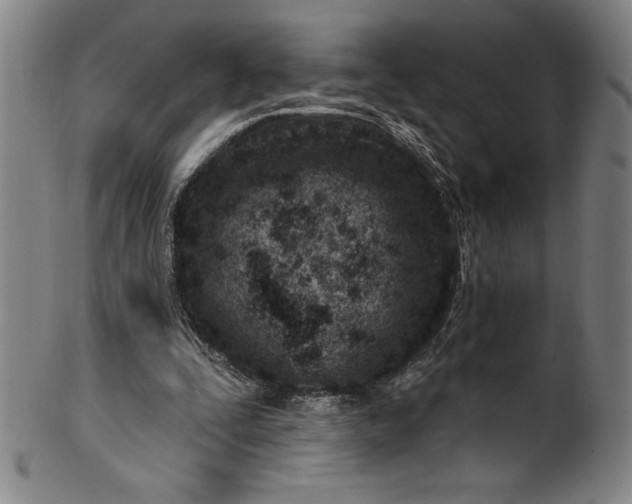 X0000099970295200806061636