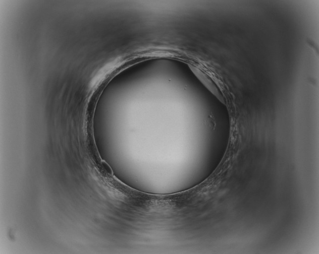 X0000099970296200806061636