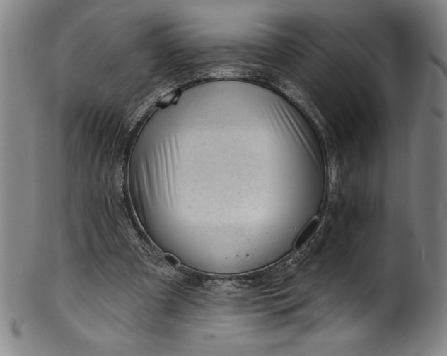 X0000099970297200806061636