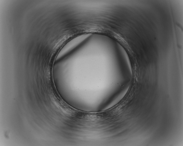 X0000099970298200806061636