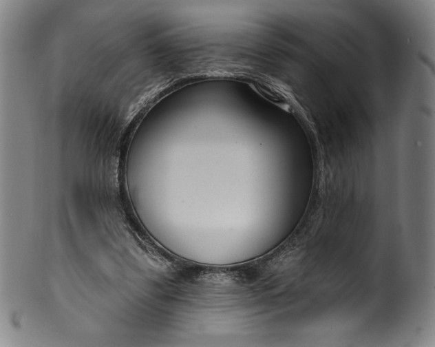 X0000099970299200806061636