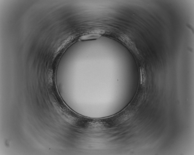 X0000099970300200806061636