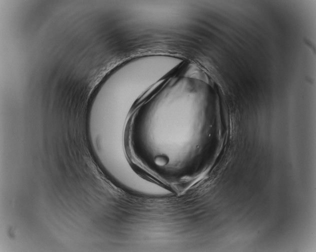 X0000099970301200806061636