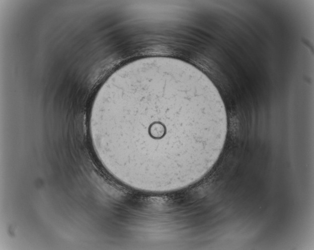 X0000099970302200806061636