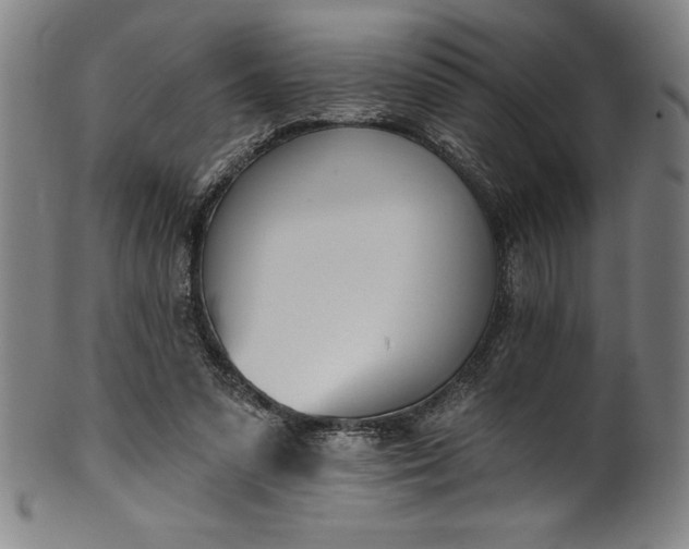 X0000099970303200806061636