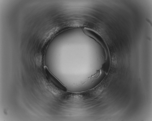 X0000099970304200806061636