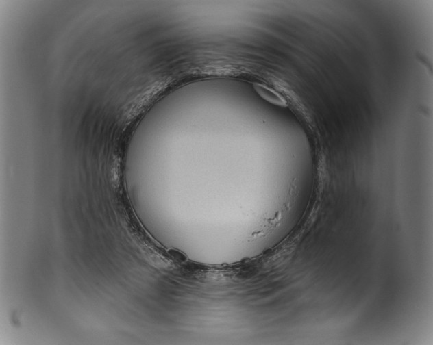 X0000099970305200806061636