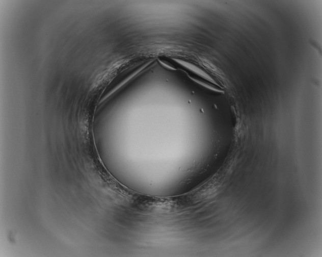 X0000099970306200806061636