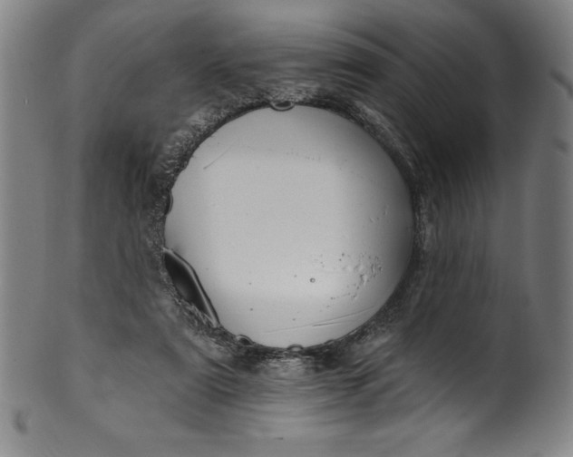 X0000099970307200806061636