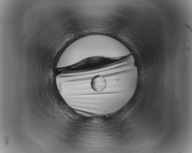 X0000099970308200806061636