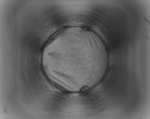 X0000099970309200806061636