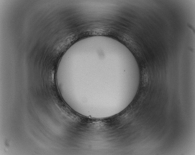 X0000099970310200806061636