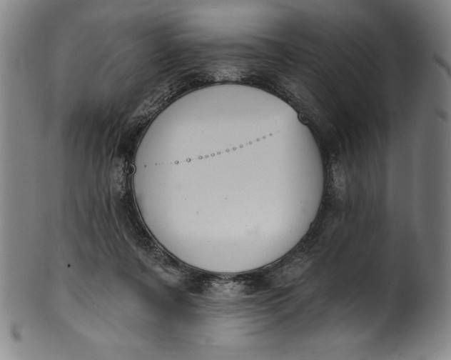 X0000099970311200806061636