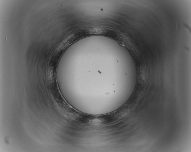 X0000099970312200806061636