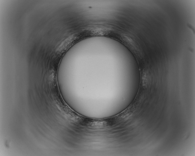 X0000099970314200806061636