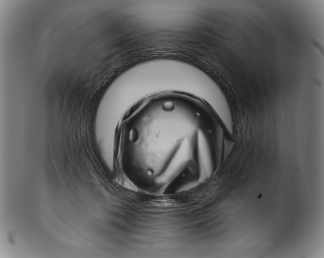 X0000099970316200806061636