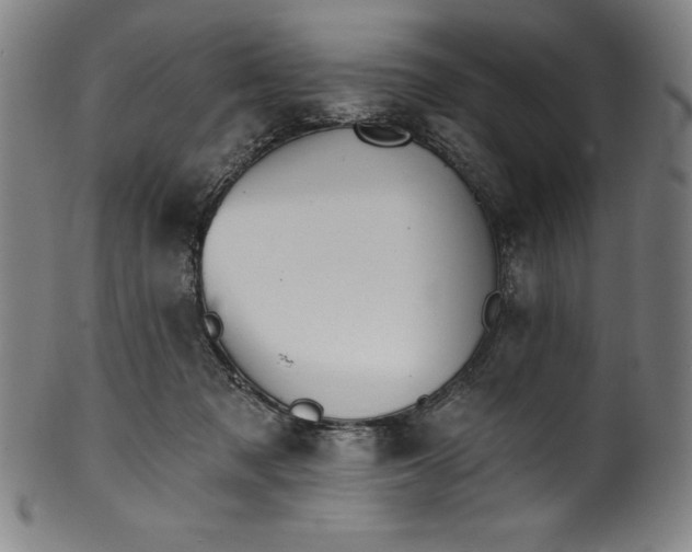 X0000099970317200806061636